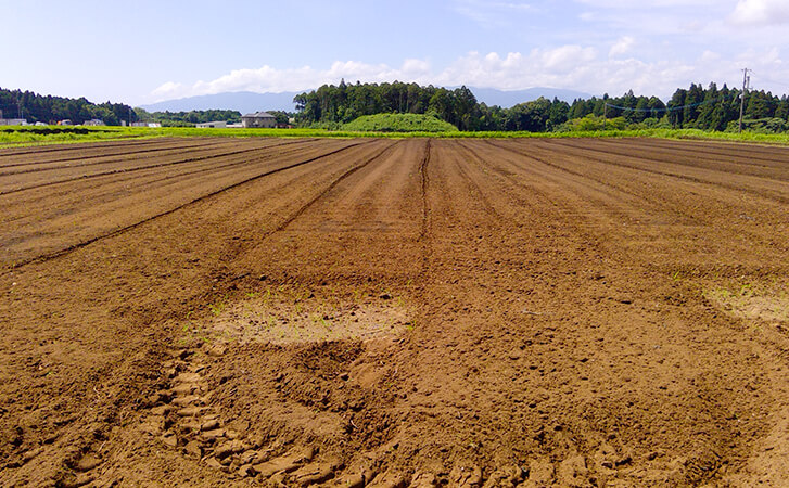 圃場準備・作付