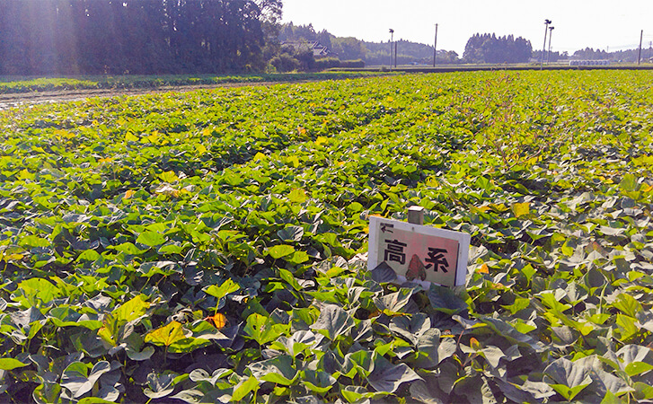 圃場管理